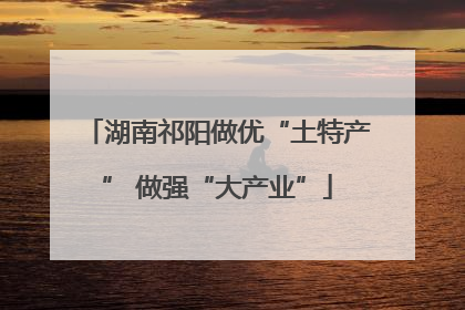 湖南祁阳做优“土特产” 做强“大产业”