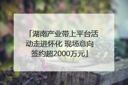 湖南产业带上平台活动走进怀化 现场意向签约超2000万元