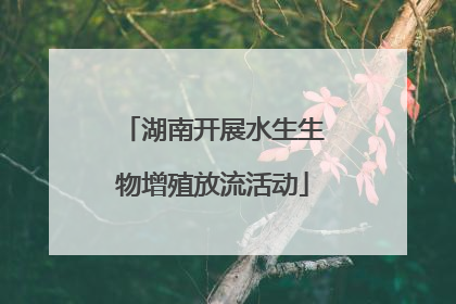湖南开展水生生物增殖放流活动