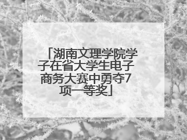 湖南文理学院学子在省大学生电子商务大赛中勇夺7项一等奖