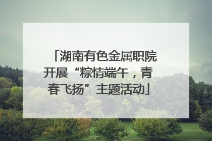 湖南有色金属职院开展“粽情端午，青春飞扬”主题活动