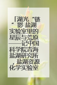 湖光“链”影 盐湖实验室里的星辰与荒原——记中国科学院青海盐湖研究所，盐湖资源化学实验室党总支书记、副主任刘忠