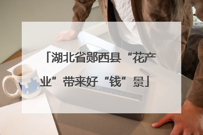 湖北省郧西县“花产业”带来好“钱”景