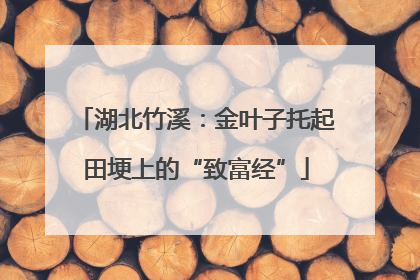 湖北竹溪：金叶子托起田埂上的“致富经”