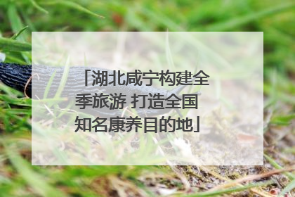 湖北咸宁构建全季旅游 打造全国知名康养目的地
