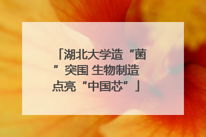 湖北大学造“菌”突围 生物制造点亮“中国芯”