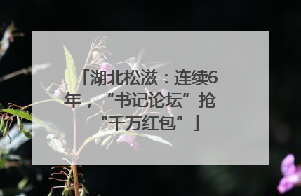 湖北松滋：连续6年，“书记论坛”抢“千万红包”