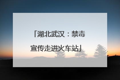 湖北武汉：禁毒宣传走进火车站