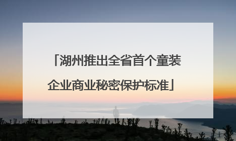 湖州推出全省首个童装企业商业秘密保护标准