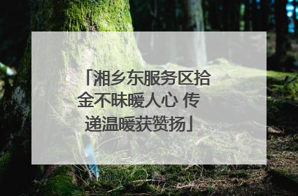湘乡东服务区拾金不昧暖人心 传递温暖获赞扬