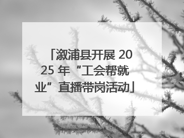 溆浦县开展 2025 年“工会帮就业”直播带岗活动