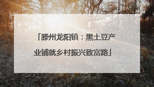 滕州龙阳镇：黑土豆产业铺就乡村振兴致富路