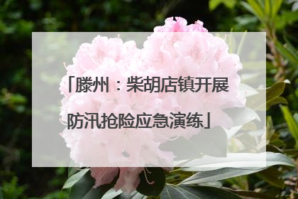 滕州：柴胡店镇开展防汛抢险应急演练