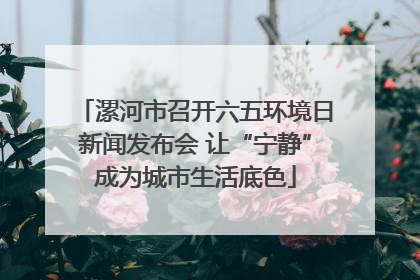 漯河市召开六五环境日新闻发布会 让“宁静”成为城市生活底色