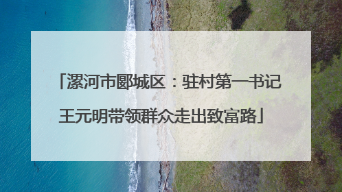 漯河市郾城区：驻村第一书记王元明带领群众走出致富路