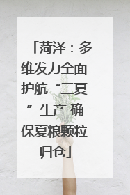 菏泽：多维发力全面护航“三夏”生产 确保夏粮颗粒归仓