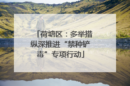 荷塘区：多举措纵深推进“禁种铲毒”专项行动