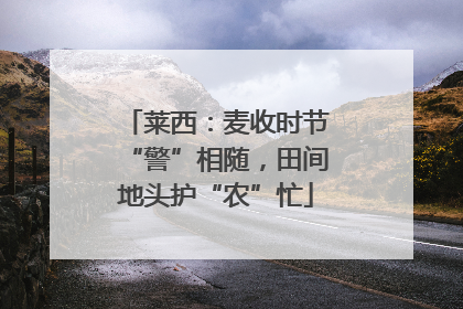 莱西：麦收时节“警”相随，田间地头护“农”忙