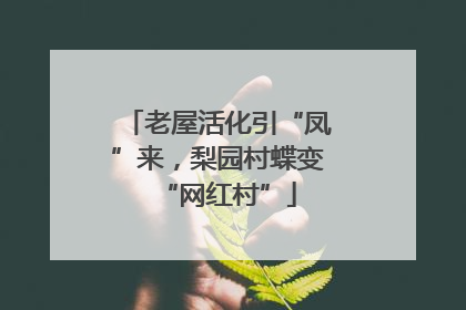 老屋活化引“凤”来，梨园村蝶变“网红村”
