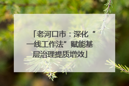 老河口市：深化“一线工作法”赋能基层治理提质增效