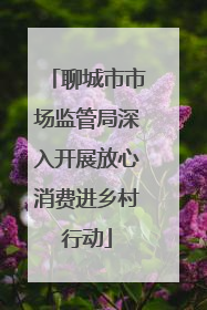 聊城市市场监管局深入开展放心消费进乡村行动