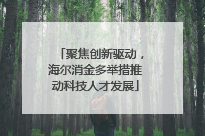 聚焦创新驱动，海尔消金多举措推动科技人才发展