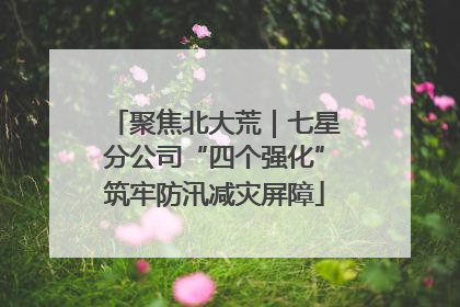 聚焦北大荒｜七星分公司“四个强化”筑牢防汛减灾屏障