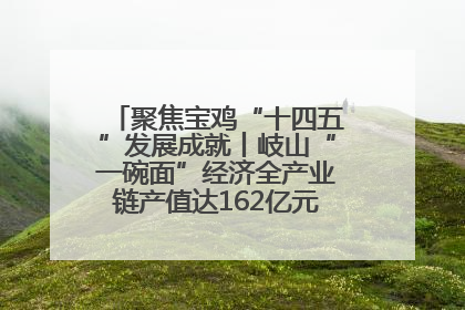 聚焦宝鸡“十四五”发展成就丨岐山“一碗面”经济全产业链产值达162亿元 入选全国典型县