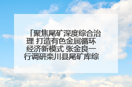 聚焦尾矿深度综合治理 打造有色金属循环经济新模式 张金良一行调研栾川县尾矿库综合治理工作