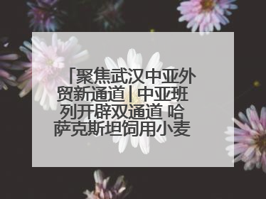 聚焦武汉中亚外贸新通道│中亚班列开辟双通道 哈萨克斯坦饲用小麦将抵鄂