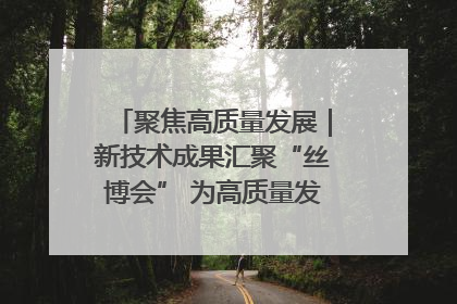 聚焦高质量发展｜新技术成果汇聚“丝博会” 为高质量发展注入新动能