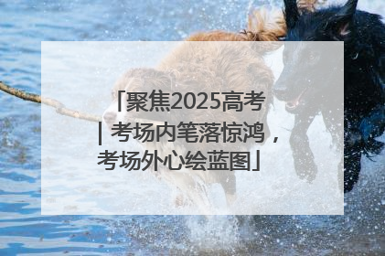 聚焦2025高考｜考场内笔落惊鸿，考场外心绘蓝图