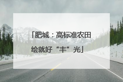 肥城：高标准农田绘就好“丰”光