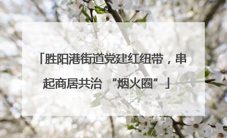 胜阳港街道党建红纽带，串起商居共治 “烟火圈”
