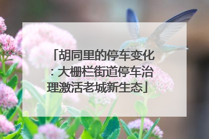 胡同里的停车变化：大栅栏街道停车治理激活老城新生态