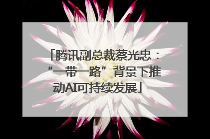 腾讯副总裁蔡光忠：“一带一路”背景下推动AI可持续发展