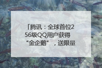 腾讯：全球首位256级QQ用户获得“金企鹅”，送限量版神秘惊喜等礼物
