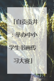 自贡贡井：举办中小学生书画传习大赛