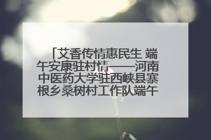 艾香传情惠民生 端午安康驻村情——河南中医药大学驻西峡县寨根乡桑树村工作队端午中医惠民记