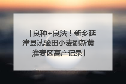 良种+良法！新乡延津县试验田小麦刷新黄淮麦区高产记录