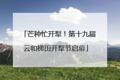 芒种忙开犁！第十九届云和梯田开犁节启幕