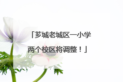 芗城老城区一小学两个校区将调整！