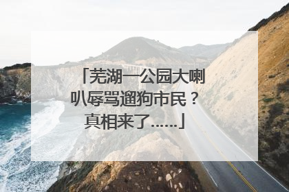 芜湖一公园大喇叭辱骂遛狗市民？真相来了……