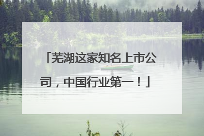 芜湖这家知名上市公司，中国行业第一！