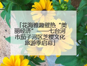花海雅趣催热“美丽经济”——七台河市茄子河区芝樱文化旅游季启幕