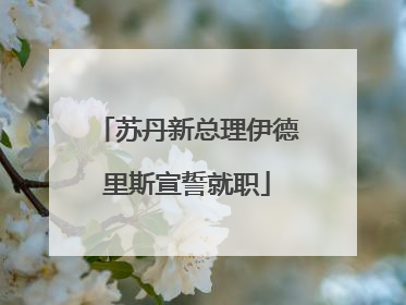 苏丹新总理伊德里斯宣誓就职