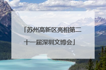 苏州高新区亮相第二十一届深圳文博会