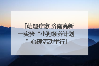 萌趣疗愈 济南高新一实验“小狗领养计划”心理活动举行