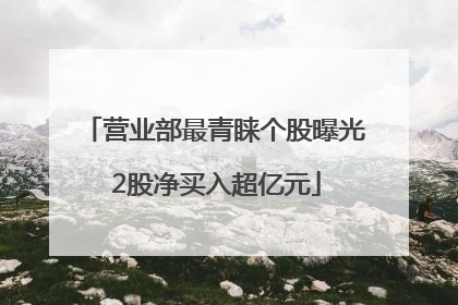 营业部最青睐个股曝光 2股净买入超亿元