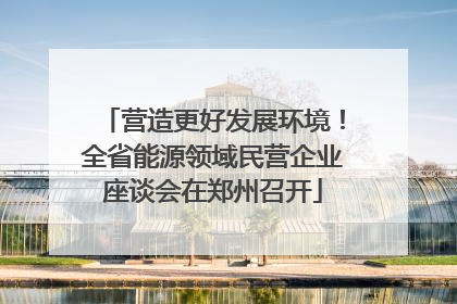 营造更好发展环境！全省能源领域民营企业座谈会在郑州召开